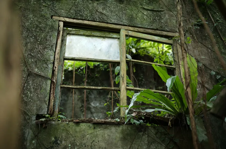 裕峰煤礦事務所遺址窗戶(Leica M10-R+ APO-SUMMICRON-M 35 f/2 ASPH.)
