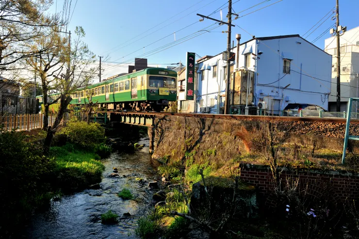 【此處源兵衛川與伊豆箱根鐵道駿豆線交會，巧遇一列開往三島的綠色列車。】