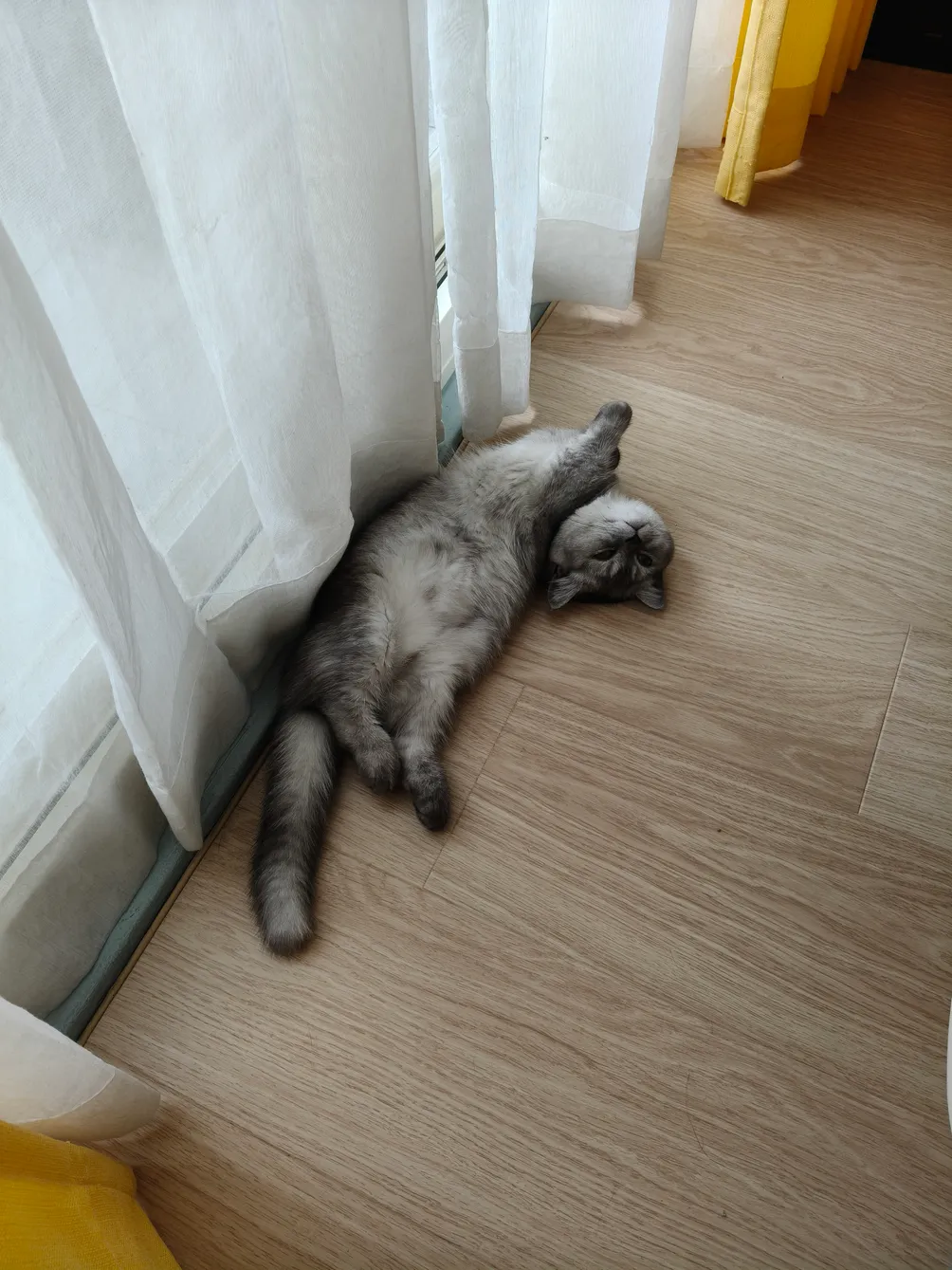 Pookie 媽的生活雜感