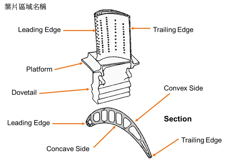 圖5. 渦輪轉子葉片與各部名稱