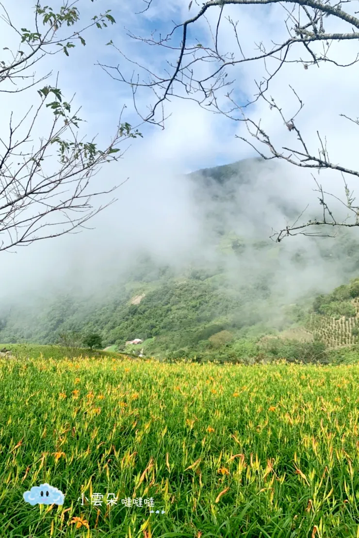 雲霧繚繞超美的