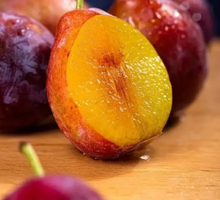 新疆喀什法蘭西西梅