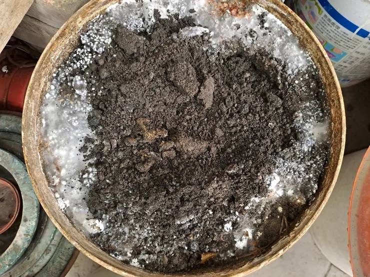 堆肥與舊土混合，便成為新的沃土