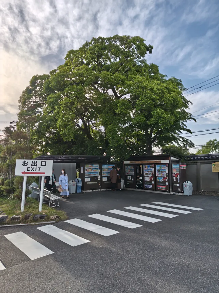 三十三間堂角落的自動販賣機