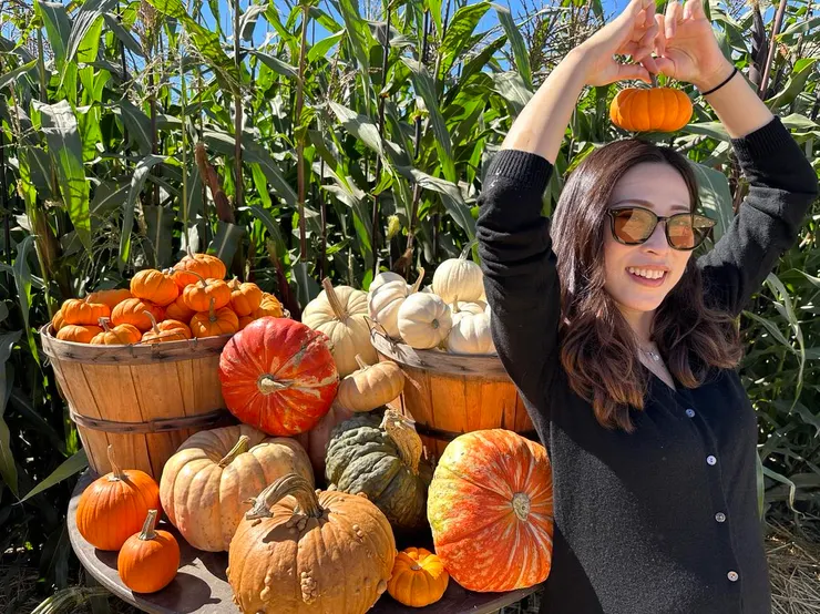 各式各樣的南瓜