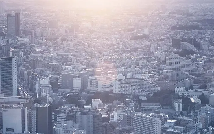 圖片來源：Pexels