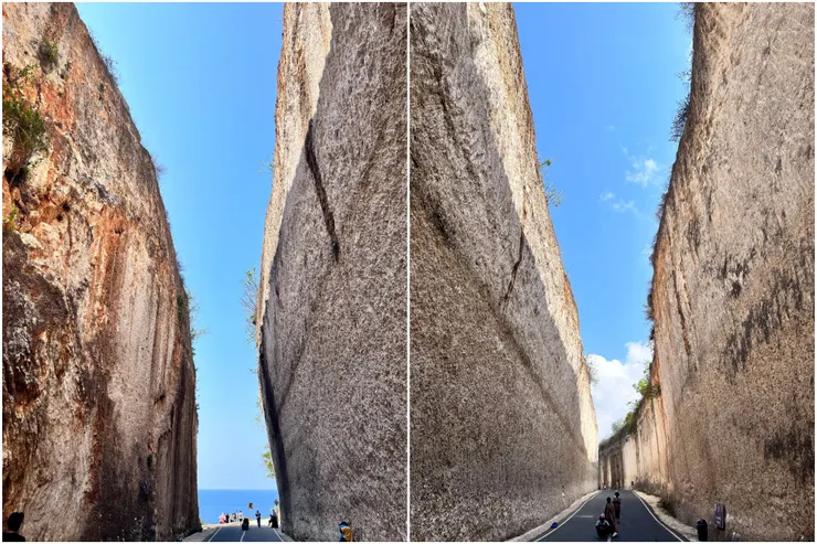 （Claire Chen提供）