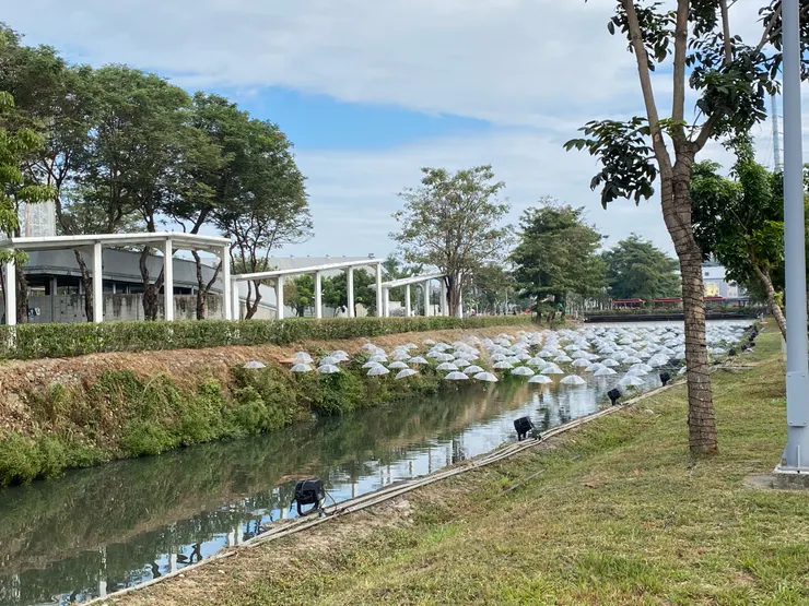 範圍很廣的公園