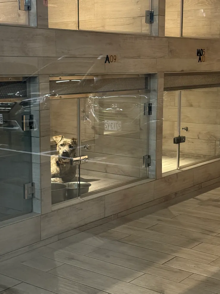 Hi!生物,你好嗎?