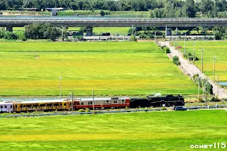 索性拍稻浪和蒸機特寫