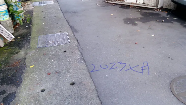 掉落地上的荔枝