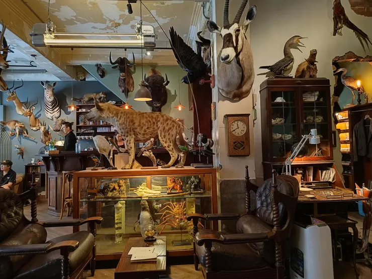 忠實呈現當天所坐位子前面的景象