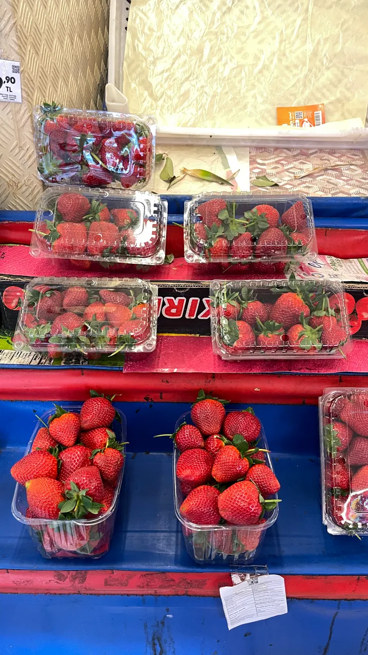 好想念吃不完的草莓盆