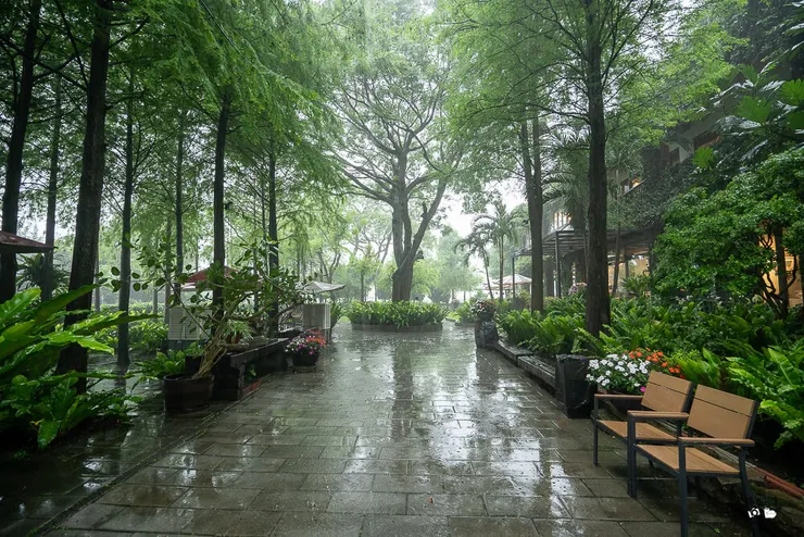家園藝術咖啡牛排館,家園牛排菜單,北斗美食推薦,彰化景觀餐廳,彰化牛排推薦,家園牛排預約,北斗家園牛排評價,彰化庭園餐廳,北斗聚餐推薦,家園藝術咖啡牛排館停車