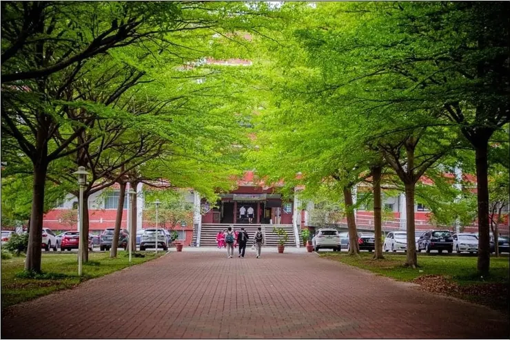 https://www.cjshs.tn.edu.tw/