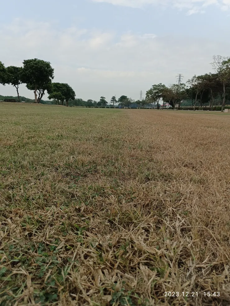 離離原上草，生死兩匆忙；自拍攝