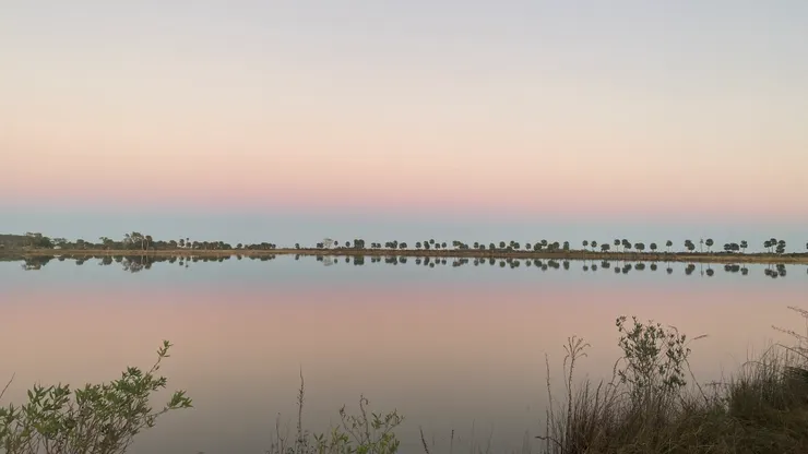 Captured by Carrie in St. Marks, FL