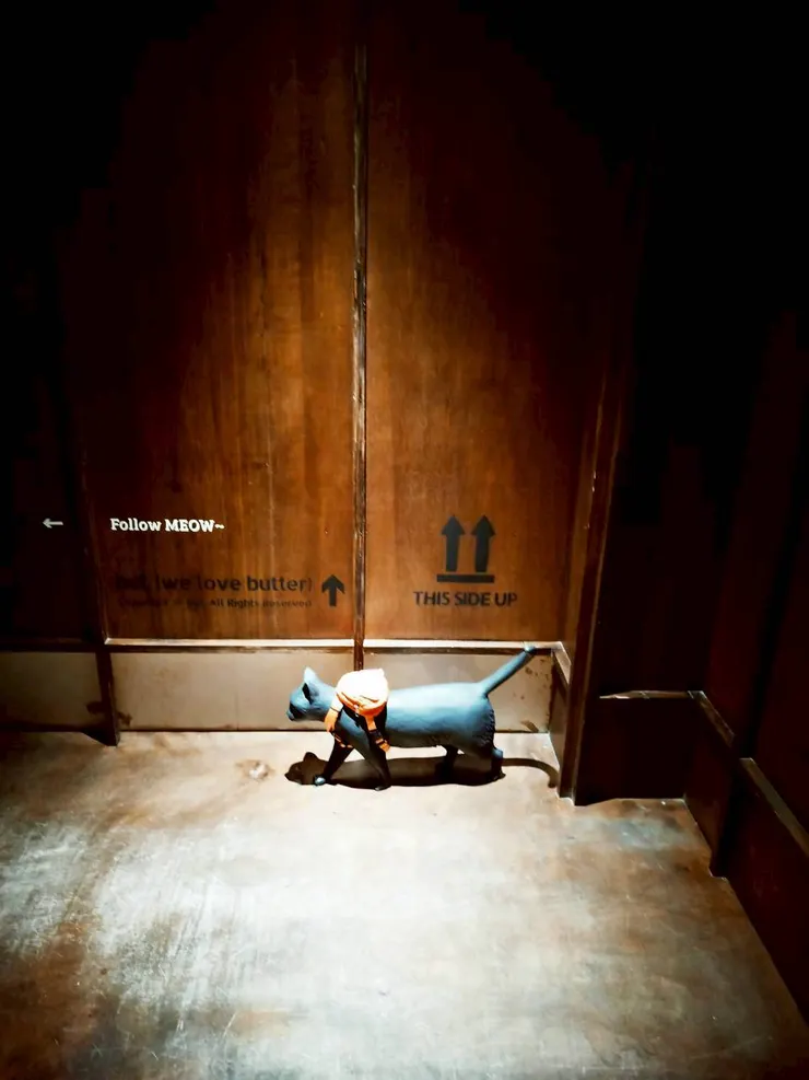 跟著黑貓的腳步前往另一段探索之旅吧