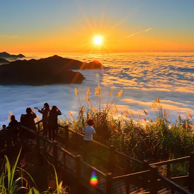 吳花果無結果的沙龍