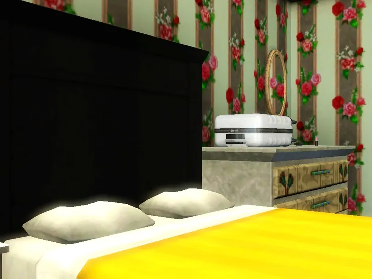 行李箱放了出來。他們又準備到哪裏旅行了？