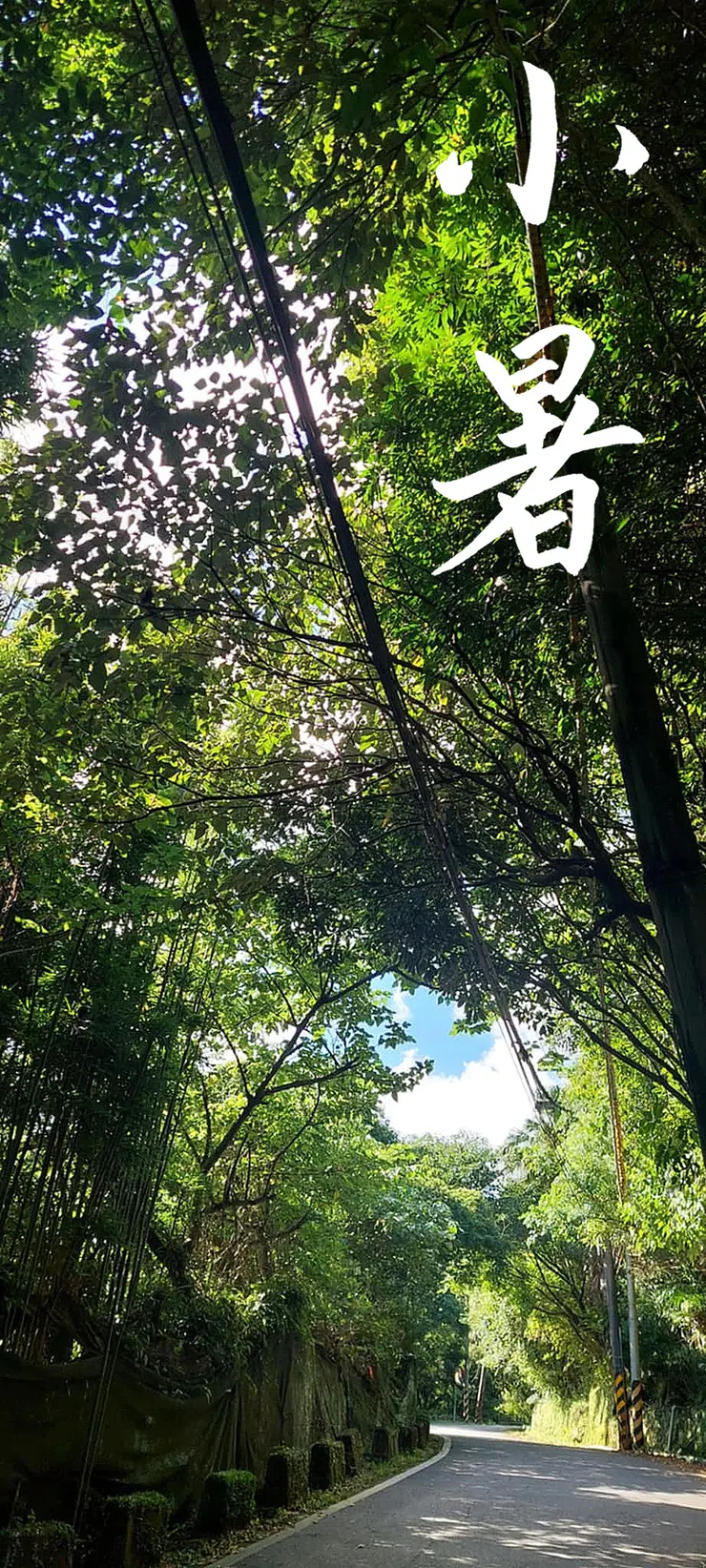 【節氣：小暑】