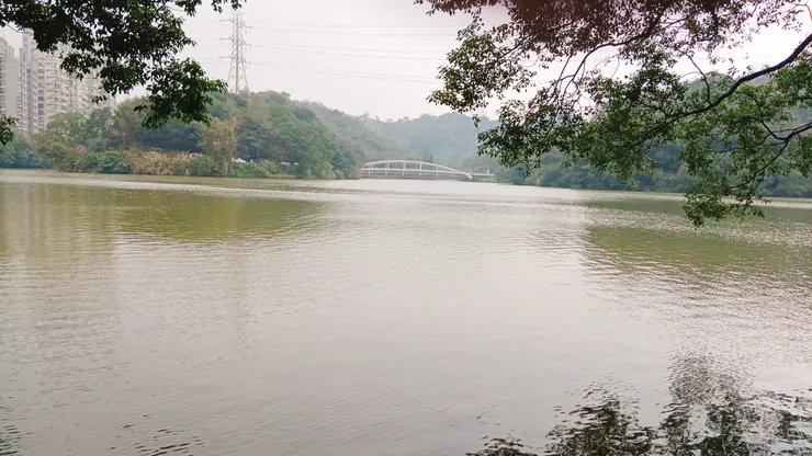 姐姐說這裡是最佳拍攝點