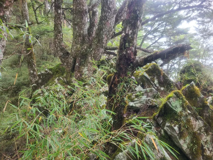 稜上危險，稍微靠內側左腰繞