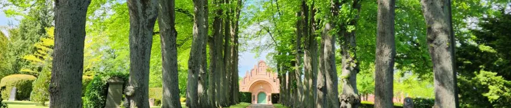 蘇菲！田邊有顆大西瓜的沙龍