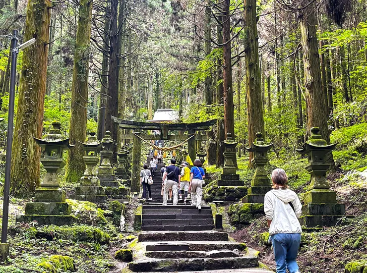 神社內鳥居(自行拍攝)