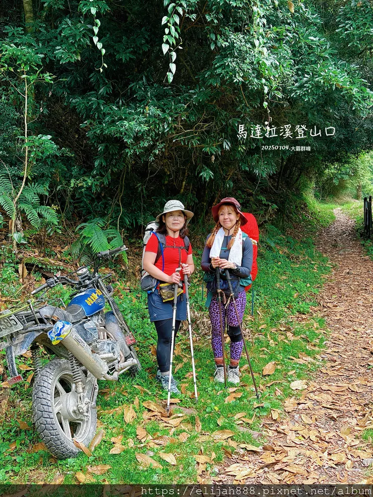 【大霸群峰4百岳。兩天一夜】觀霧大鹿林道東線騎越野單車/馬達