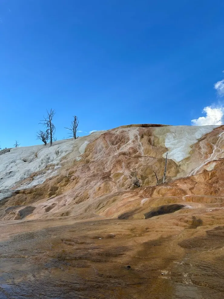 Mammoth hot spring 