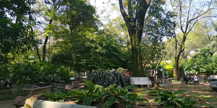 和自然和合為一體的休息區