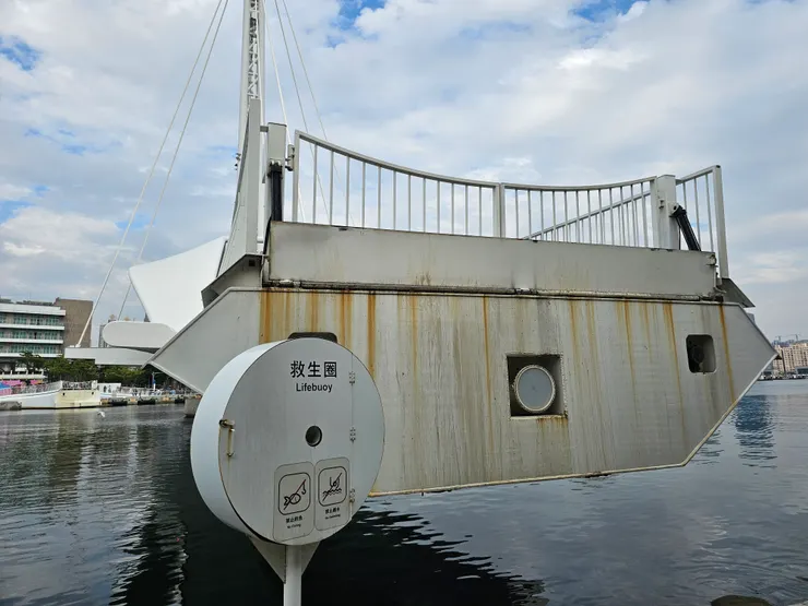 轉到我們眼前,比想像中大