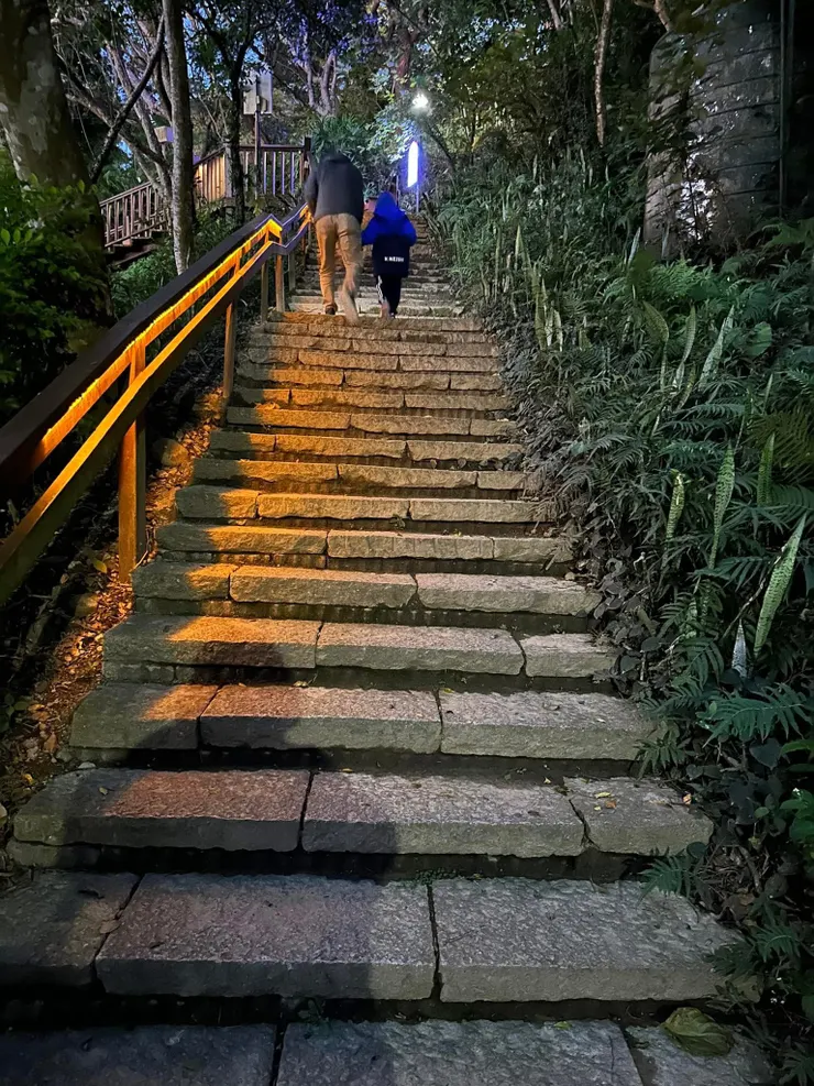 週末的夜裡，很安靜，我們享受著，森林和我們在一起的聲音