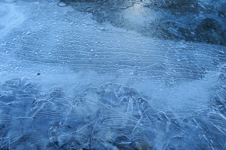 好多細節。頗有一沙一世界、一花一天堂的感覺