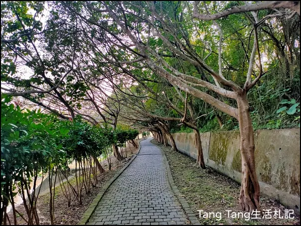 (2023.01.08Tang Tang在新竹／／收集步伐14312步)