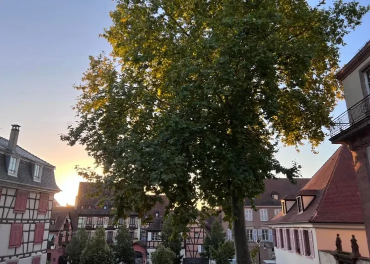 鏡頭或拉近或拉遠都一樣吸引我