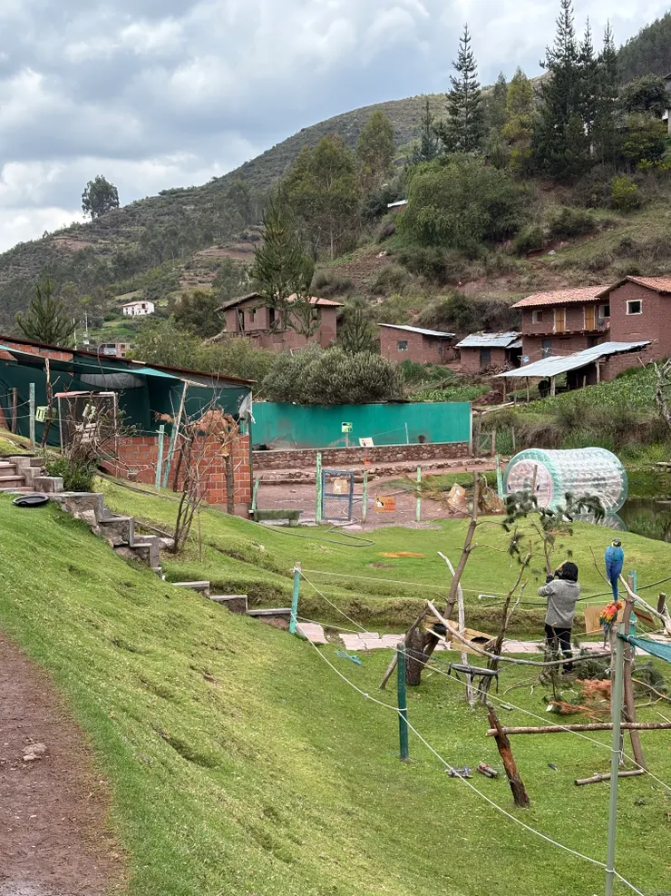 天然的環境、開放的空間、自由的動物們