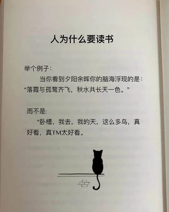 一个人的好天气 - 青山七惠