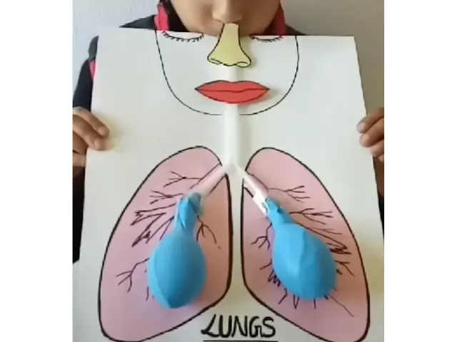 圖片來源:Nirbhay's Vlog Youtube頻道