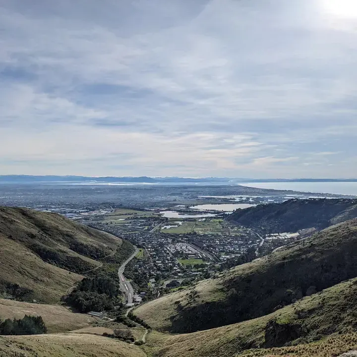 把握最後時光，週六一早來Bridle Path Track健行