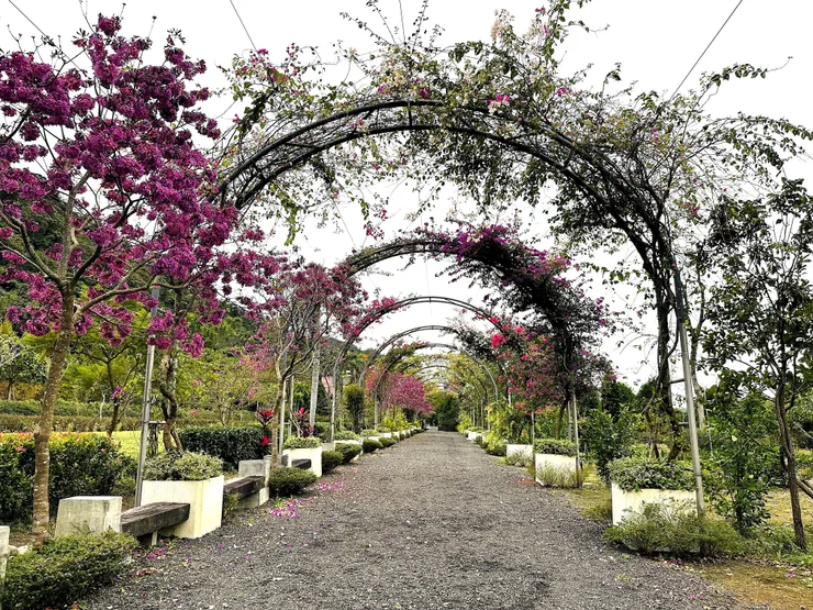 【鳶山紅樓】新北三峽景觀餐廳推薦！精緻創意無菜單料理套餐，絕