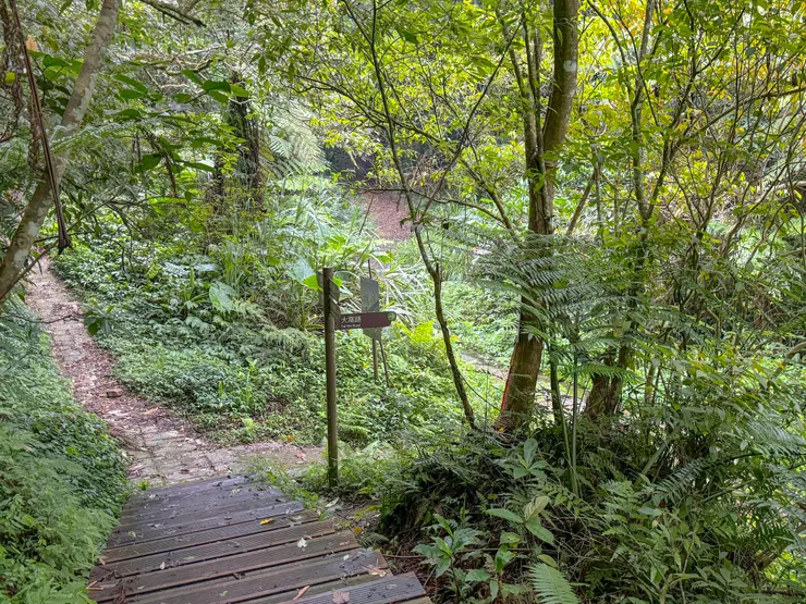 1712 OMG! 回到早上經過的大窩路叉了!!