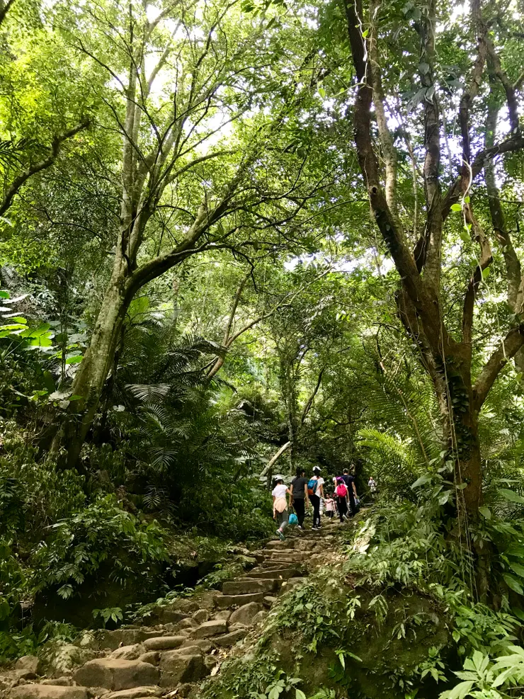 樹木蒼鬱的古道