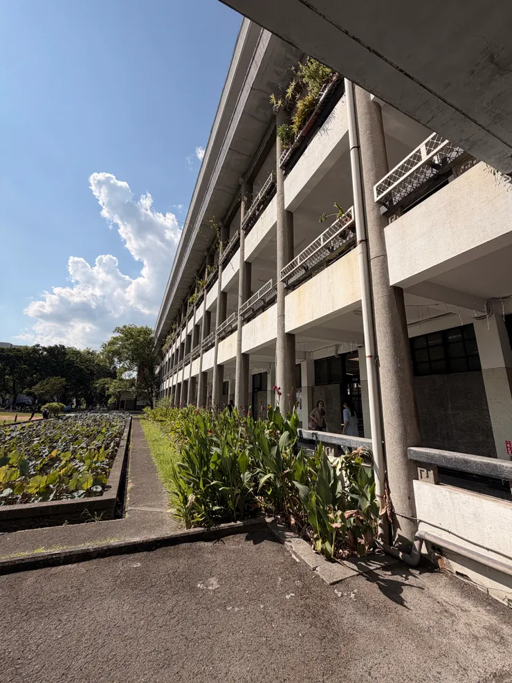 輔大文學院的荷花池