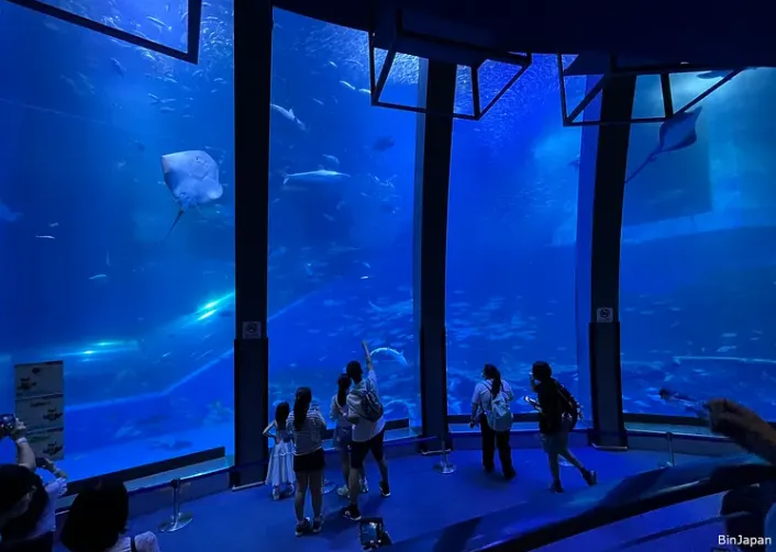 參考音樂:https://www.youtube.com/watch?v=emDPpUfFISs