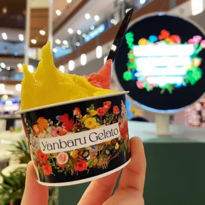 送冰淇淋！沖繩中部巴士遊程