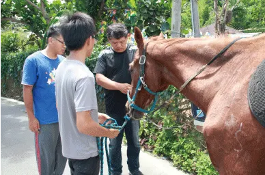除了兔子之外，還可以騎馬唷~