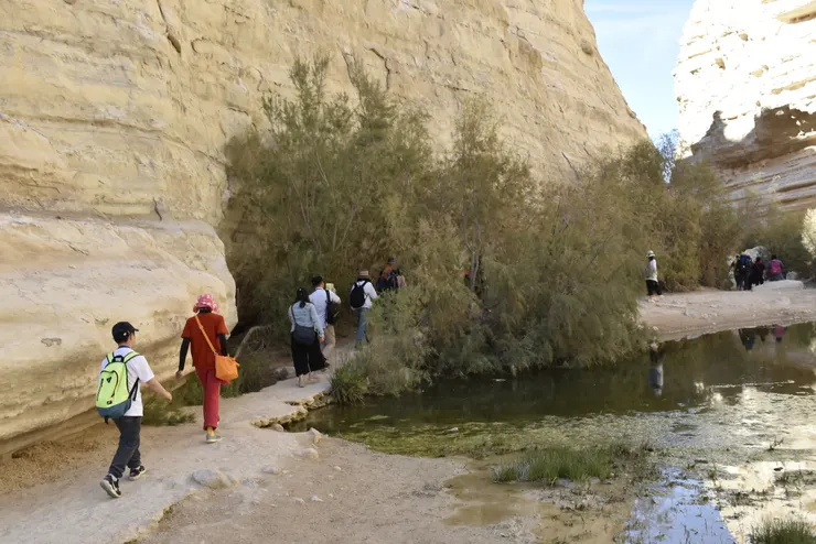 20170317在以色列ARAD曠野(李建崑攝影)