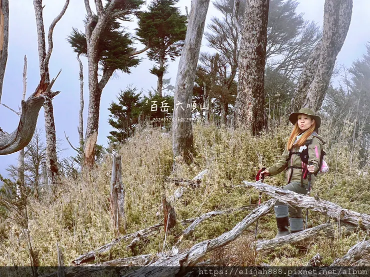 【丹大林道.六順山.七彩湖】六順山.海拔3009公尺/波波草